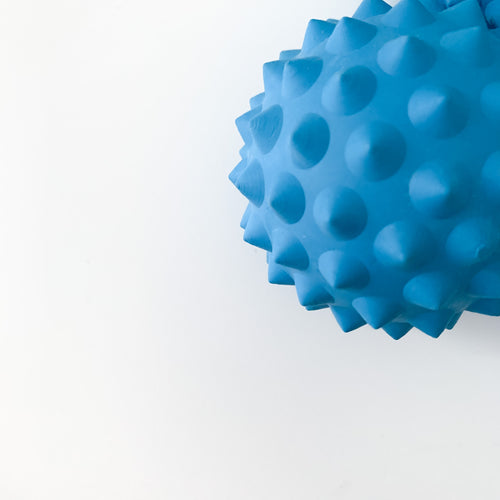 The Active Body Ball